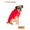 CC-Jazz-Red-06